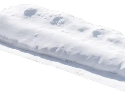 Snowdrift 3D model