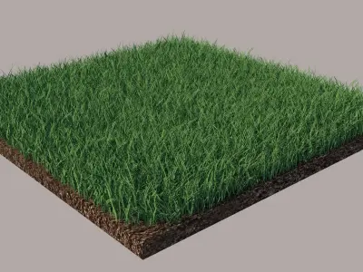 Grass 3D model