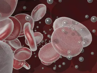 Animated Blood Vessels Segment 3D model
