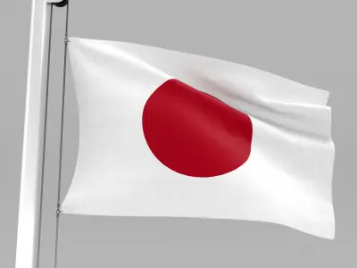 Flag of Japan 3D model