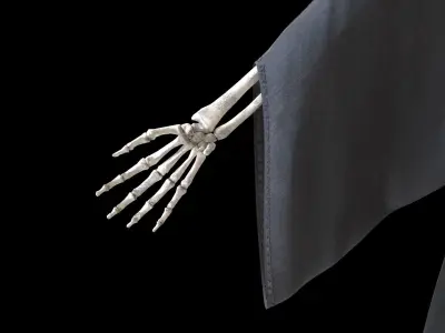 Reaper cloak with skeletons Low-poly 3D model