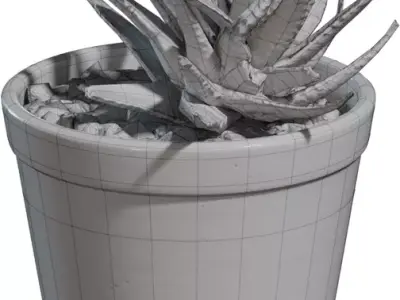 Game Ready Potted Succulent  Low-poly 3D model