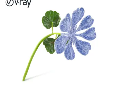 White Clover Plant Nature Realistic Textures model pack Low-poly 3D model
