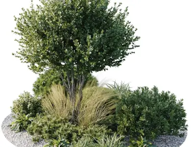 Outdoor Plants 3 3D model