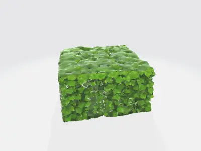 A green cube-shaped hedge bush 3D model