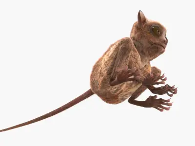  Tarsier Fur for Maya 