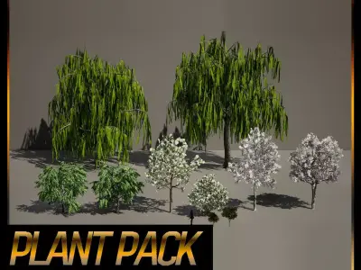 PREMIUM PLANT PACK - 10 realistic Korean Street Tree Pack 02 3D model