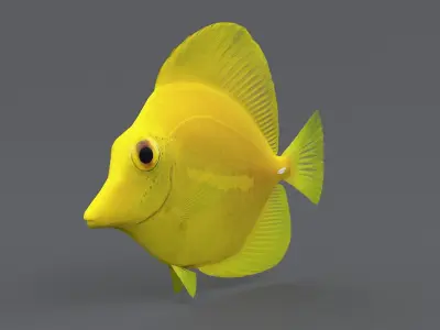  Coral Reef Fish Collection 