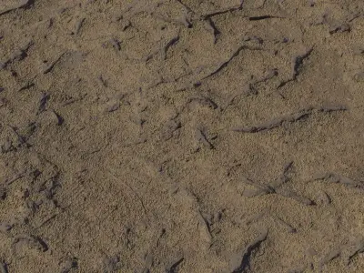Dry Mud Ground With Cracked Tracks  Texture