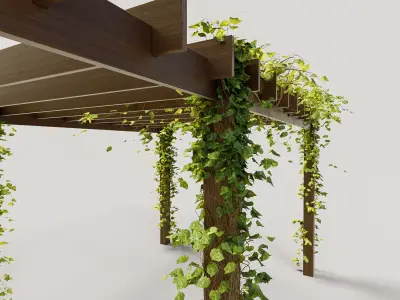 Pergola with ivy 3D model