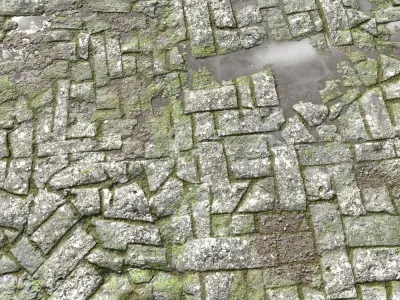 Old Mossy Floor Seamless PBR Texture
