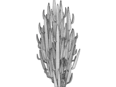 African Milk Tree 3D model