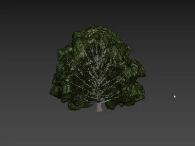 Low Poly Tree Stylish Low-poly 3D model