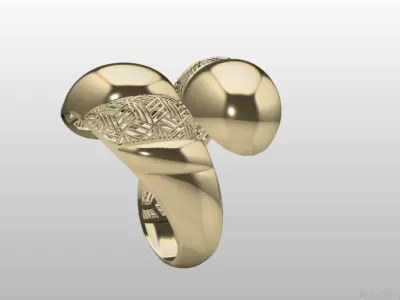 Fusion Ring Light Weight 3D print model