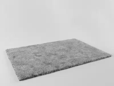 Carpet shaggy rug 3D model