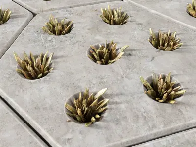 Paving hexagon  grass 3D model