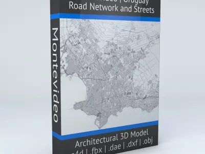 Montevideo Road Network and Streets 3D model