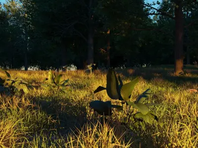 August Forest 3D model