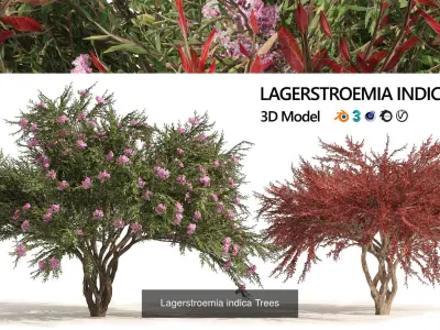 Flowering Trees 3D Model Pack