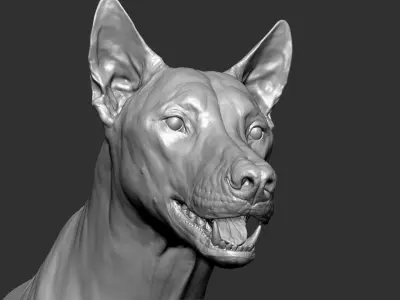  Wolf with Facial Expression 