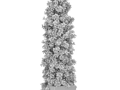 A tall decorative tree shrub houseplant in modern black pot 3D model