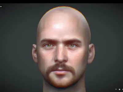 Male head Realistic Perfect Head Low-poly Low-poly 3D model