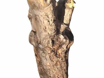 trunk 102 3D model