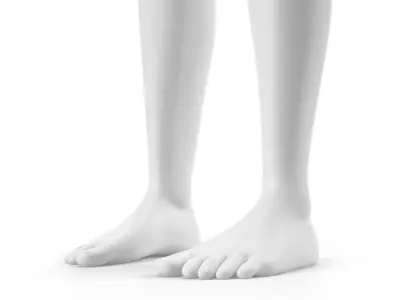  Rigged Human Hybrid Neutral Model 