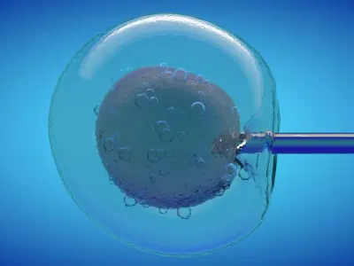 IVF cell simulation animal or human cell and needle 3D model