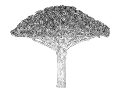 Dragon Tree 3D model