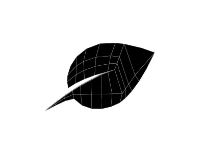 Chia Coin v1 003 Low-poly 3D model