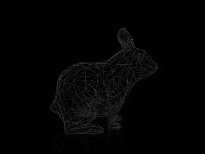Rabbit Wireframe Low-poly 3D model