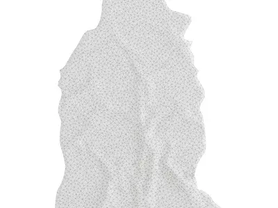 Sheepskin skin 3D model