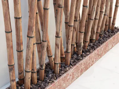 Bamboo decor fundament random 3D model