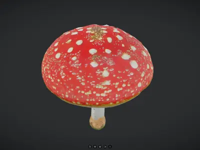 Fly Agaric 2 Low-poly 3D model