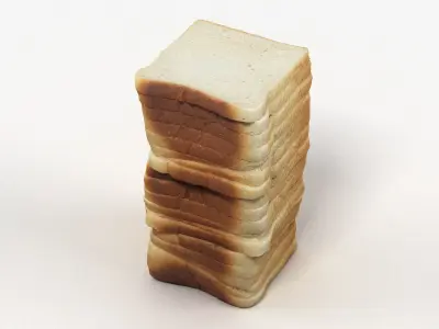 Bread or Toast Collection 3D model