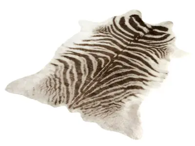 Zebra Animal Print Indoor Rug 3D model