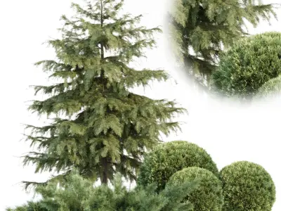 Gardens Collection vol 300 3D Model Pack