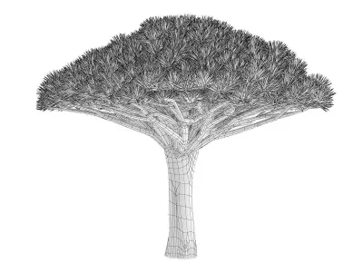 Dragon Tree 3D model