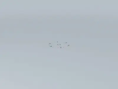 City Grid with no stop lights Free 3D model