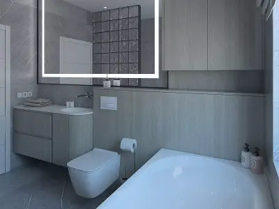 Beautiful shower room with a glass wall 3D model