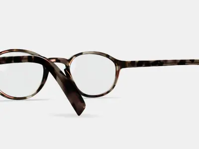 Caswell Eyeglasses in Biscotti Tortoise 3D model