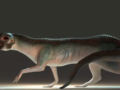 Beaked Ferret-Lizard Rigged Low-poly 3D model