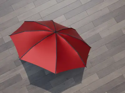 Umbrella 3D Model 3D model
