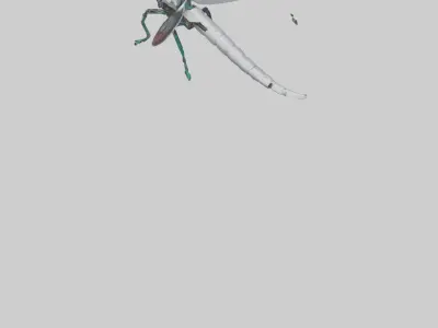 Robot version of a dragonfly model Low-poly 3D model