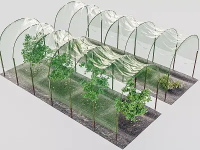 Farm Greenhouse 3D model