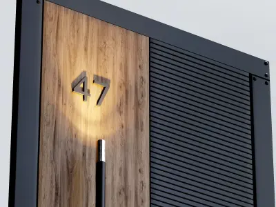 Flash Door Burkovsky 3D model