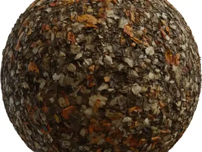Highly Detailed Autumn Fallen Leaves Ground PBR Texture Texture