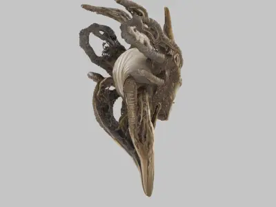 Stylized Ram Skull Low-poly 3D model