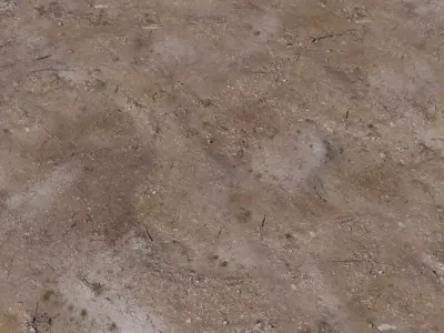 Dry Scrubby Dirt Texture  Texture